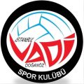 Vadi Voleybol